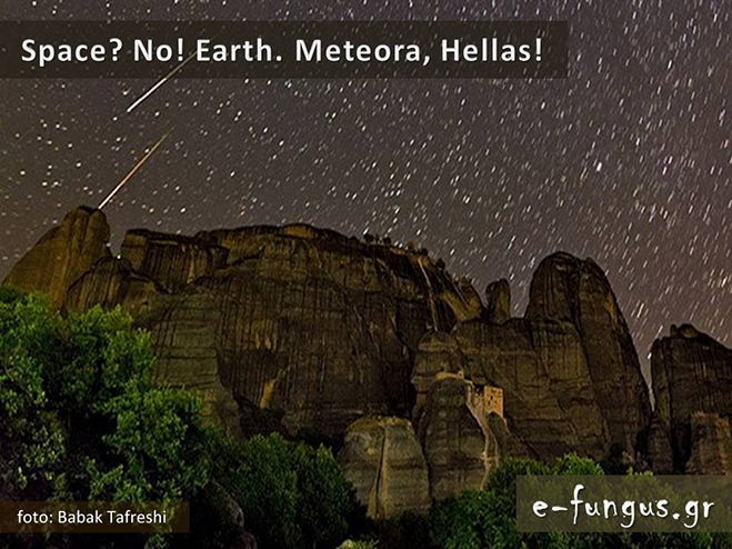 hellas11