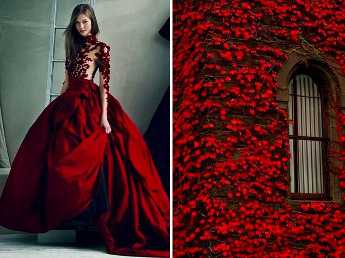 moda25