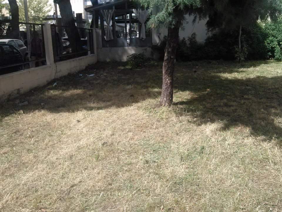 IMG 875709723614