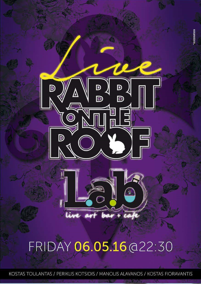 rabbit