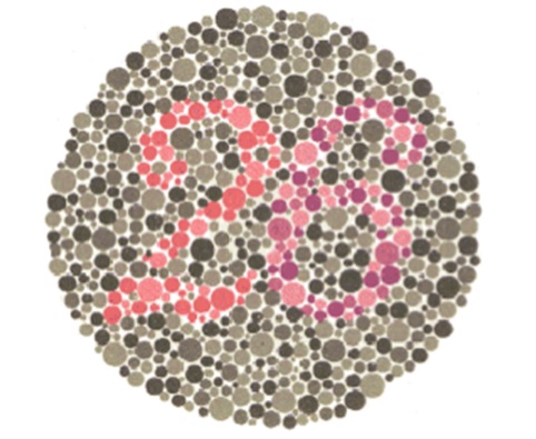 test6