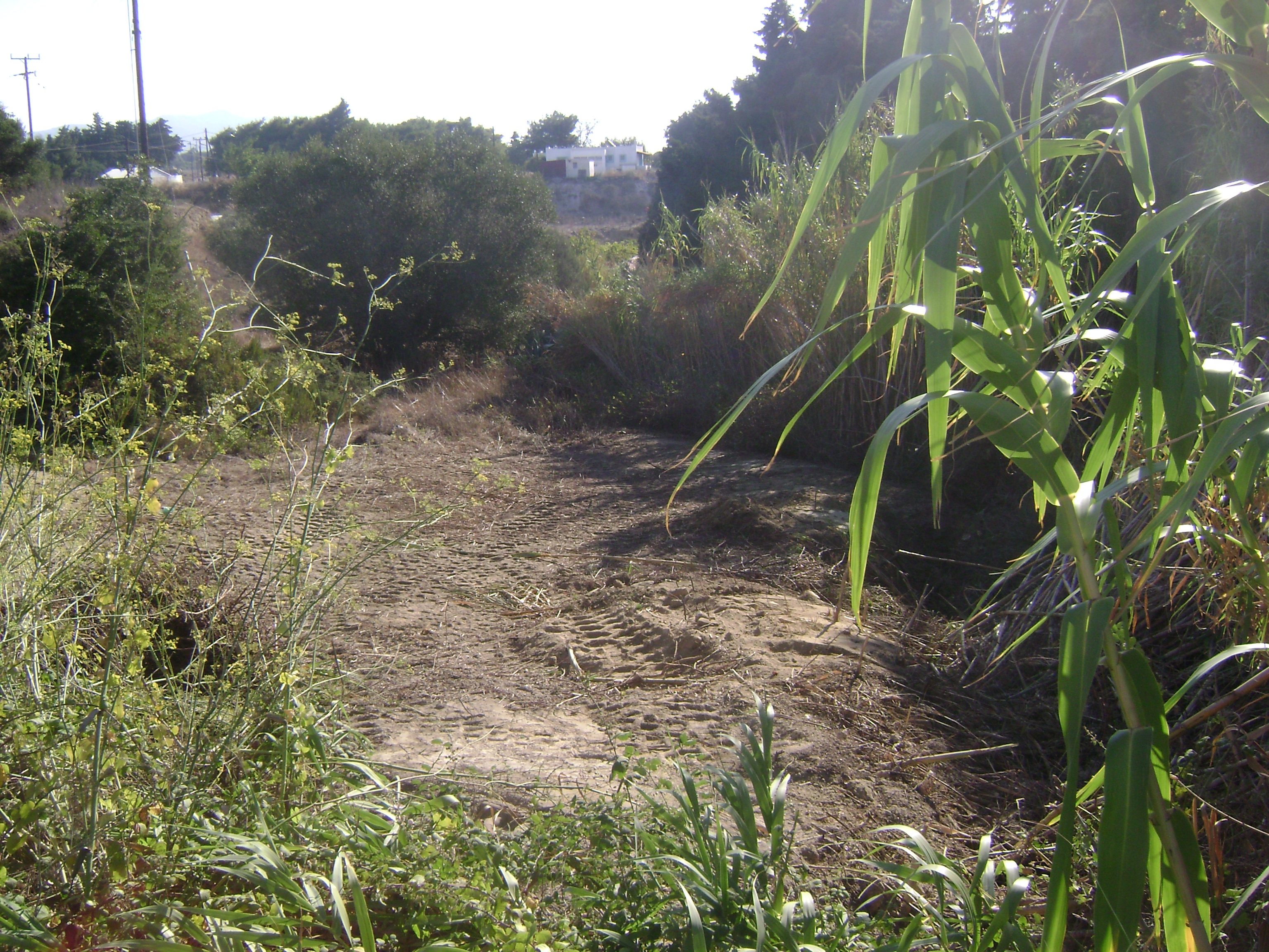 image3