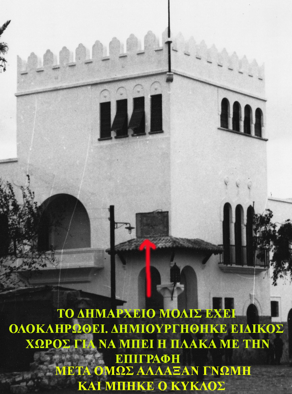 kogio2