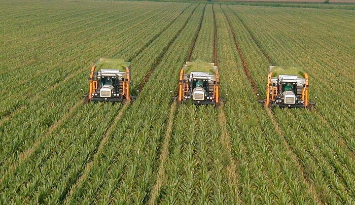 Γλιτώνουν τον «κόφτη» στις συντάξεις 120.000 αγρότες