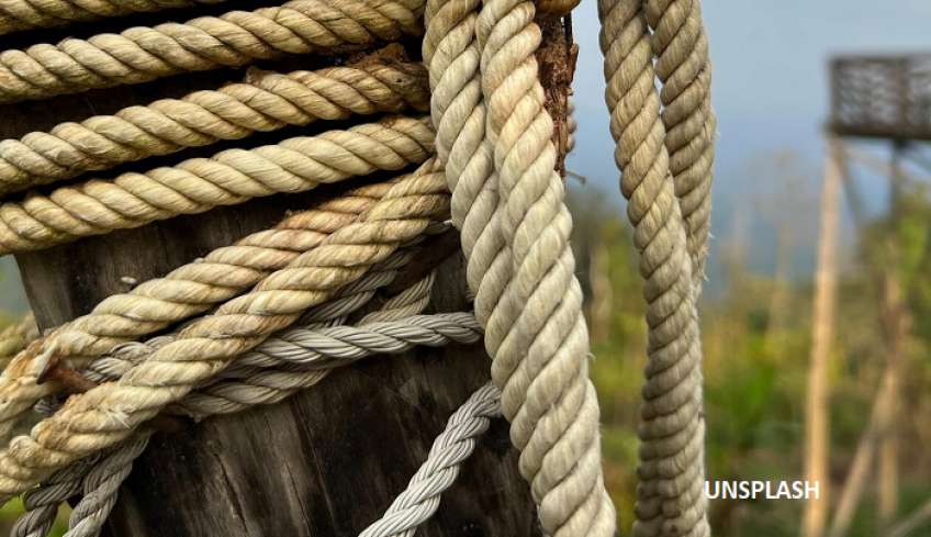 Θρίλερ στα Χανιά: 37χρονος απαγχονίστηκε - Βρέθηκε κρεμασμένος σε ελιά