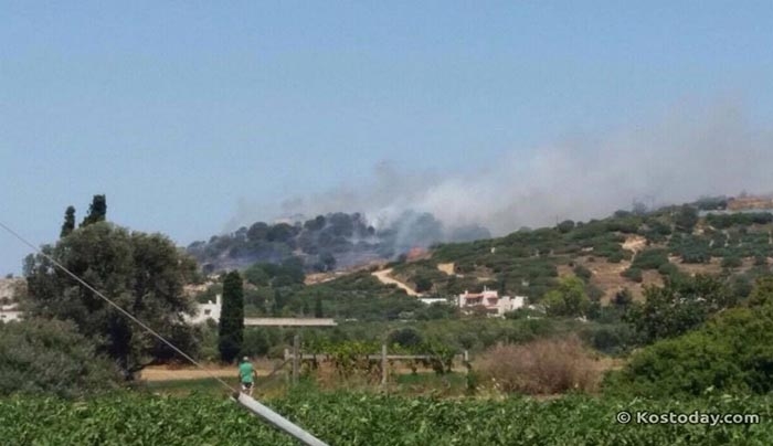 ΕΚΤΑΚΤΟ: Φωτιά τώρα στην είσοδο του Πυλίου (φωτό)