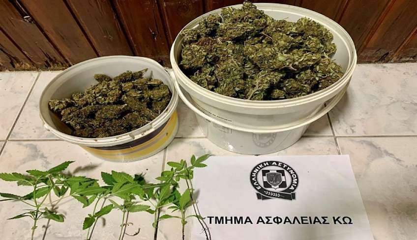 Συνελήφθη ημεδαπός για κατοχή ναρκωτικών και καλλιέργεια δενδρυλλίων κάνναβης στην Κω
