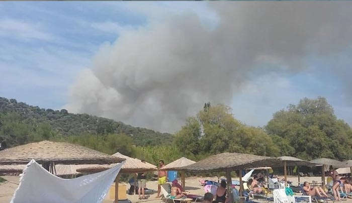 Ολονύχτια μάχη με τις φλόγες στη Λέσβο - Για εμπρησμό κάνει λόγο η Πυροσβεστική - ΒΙΝΤΕΟ