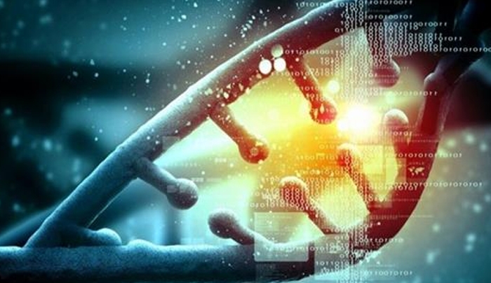 «Σκληροί δίσκοι» από DNA με διάρκεια ζωής 2.000 χρόνων