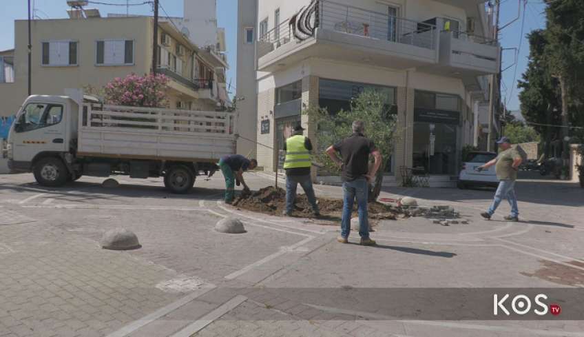 Μία ελιά, τοποθετήθηκε στην πλατεία Αποστόλου Παύλου, σε συνέχεια των αισθητικών παρεμβάσεων αναβάθμισης της γύρω περιοχής