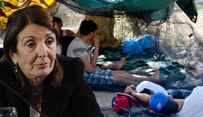 Απίστευτη παραδοχή Χριστοδουλοπούλου: Χωρίς ΜΚΟ και αλληλέγγυους θα ήταν χειρότερα στο Πεδίον του Άρεως