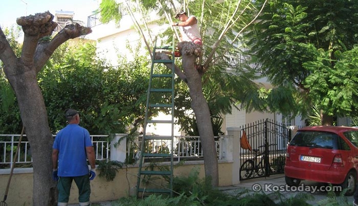 ΠΡΟΣΟΧΗ: «Διακοπή κυκλοφορίας λόγω εργασιών υπηρεσίας πρασίνου» - Δείτε πού και πότε