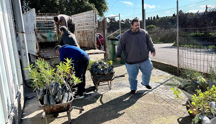 Πάνω από 2.000 φυτά σε δήμους, σχολεία και κοινότητες των νησιών από το Περιφερειακό Φυτώριο Νοτίου Αιγαίου