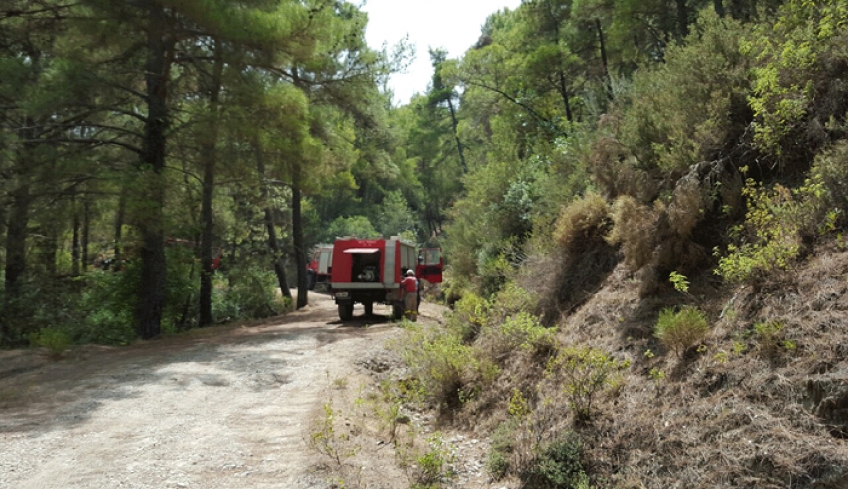 Παρατείνεται έως την Παρασκευή η απαγόρευση μετακίνησης σε δάση, εθνικούς δρυμούς και περιοχές Natura