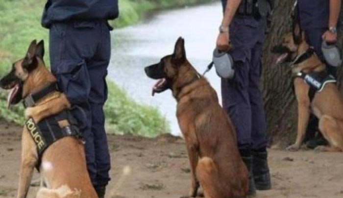 Γερμανοί αστυνομικοί της ομάδας Κ-9 έρχονται στη Ρόδο