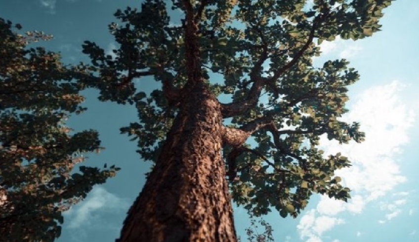 Αιγόκερε, οι συναντήσεις και οι επαφές με πρόσωπα του στενού σου περιβάλλοντος θα έχουν την τιμητική τους.