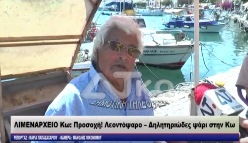 Τι λένε οι ψαράδες της Κω για το δηλητηριώδες λεοντόψαρο (ΒΙΝΤΕΟ)