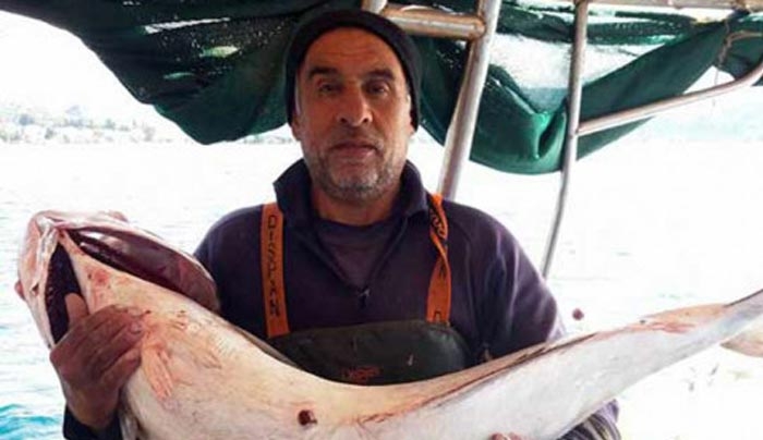Πρέβεζα: Η ψαριά της ζωής του - Το πήρε αγκαλιά μόλις το έβγαλε από τα δίχτυα [pics]