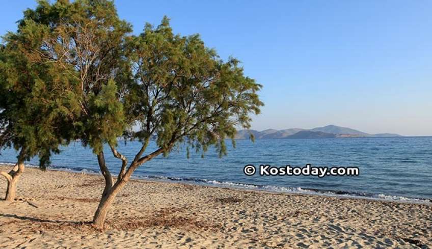 Δημοπρασία προκηρύσσει ο Δήμος Κω για την παραχώρηση του δικαιώματος απλής χρήσης αιγιαλού και παραλίας, στις 22 Μαϊου