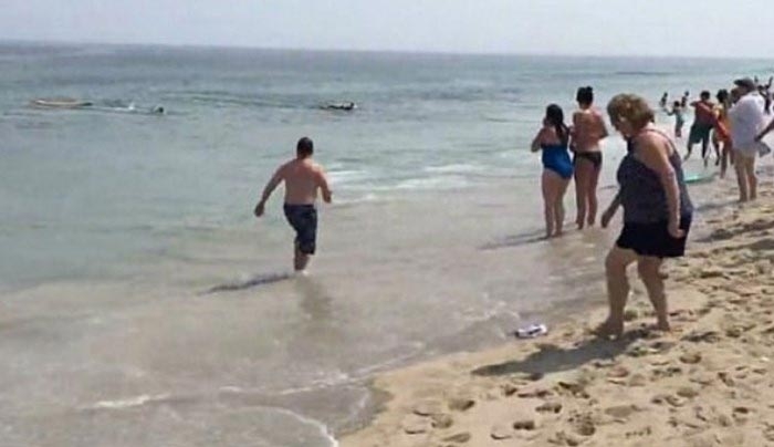 Καρχαρίας έφτασε τρία μέτρα μακριά από την ακτή «σκόρπισε» πανικό - ΒΙΝΤΕΟ