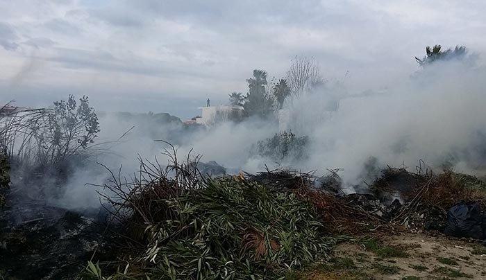 Πυρκαγιά σε καλαμιές πλησίον του ξενοδοχείου "ΠΕΛΑΓΟΣ"