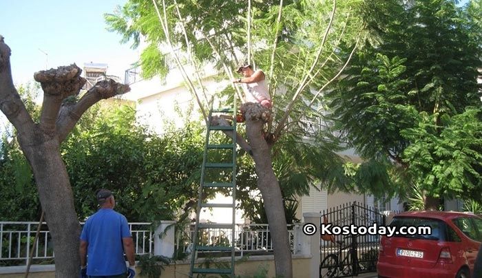 Δήμος Κω: Προγραμματισμένες εργασίες  από Δευτέρα 25-06-2018 έως και Παρασκευή 29-06-2018