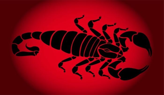 10 λόγοι να βγεις με έναν Σκορπιό