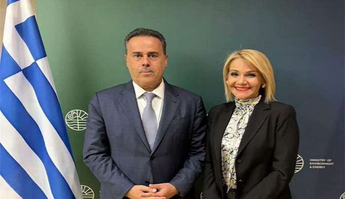 Την παράταση για αυθαίρετα και οικοδομικές άδειες ζήτησε η Μίκα Ιατρίδη από τον Υπουργό Περιβάλλοντος και Ενέργειας, Σταύρο Παπασταύρου.