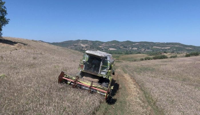 Μπόνους 100.000 ευρώ σε όσους κάνουν μικρούς συνεταιρισμούς – Ποιοι και πώς μπορούν να πάρουν χρήματα
