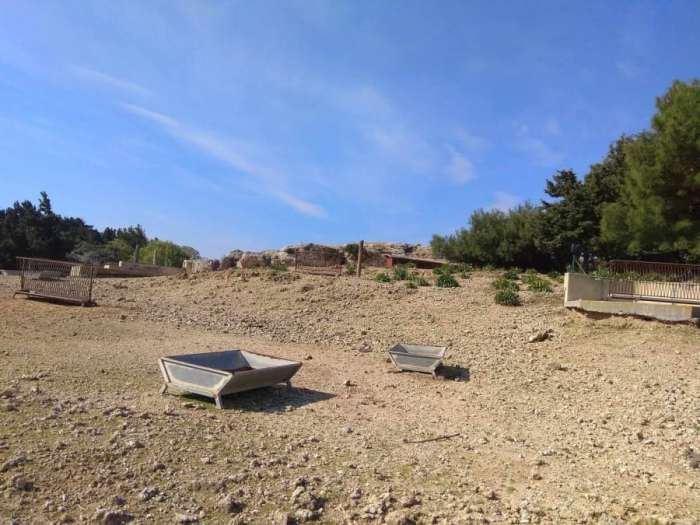 Φρίκη στη Ρόδο: Δεκάδες νεκρά ελάφια στο δημοτικό Ελαφοκομείο - Παρέμβαση εισαγγελέα