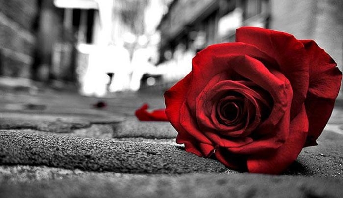 Τα ζώδια σήμερα 18 Μαρτίου-Λέων, σήμερα ψάχνεις αφορμές για να περάσεις καλά.