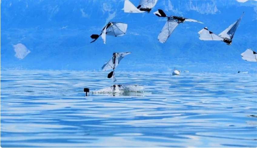 Φωτογραφική σύνθεση που απεικονίζει το ρομπότ καθώς αφήνει το νερό και πετάει στον αέρα  Raphael Zufferey