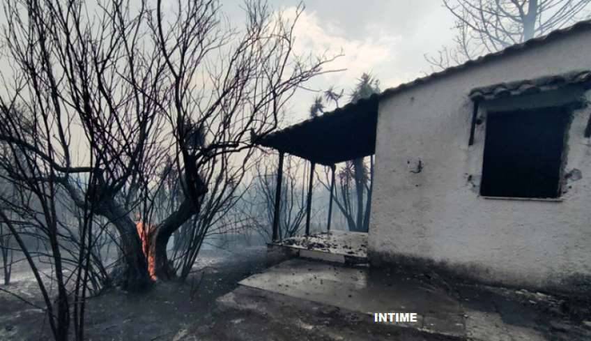 Θρίλερ με το καμένο ανθρώπινο κρανίο στην Πάρνηθα: Δυσεπίλυτος γρίφος για τις Αρχές - Γιατί είναι εξαιρετικά δύσκολη η ταυτοποίηση