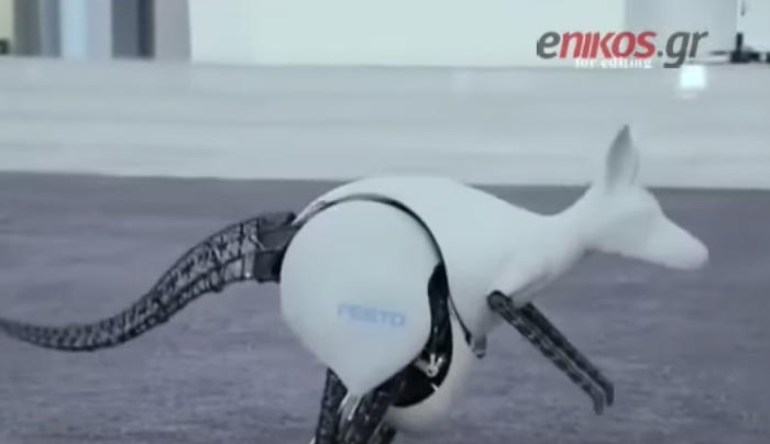 Τα ρομπότ εισβάλλουν στη ζωή μας – ΒΙΝΤΕΟ